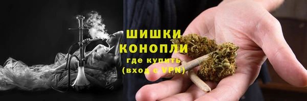 стаф Белоозёрский