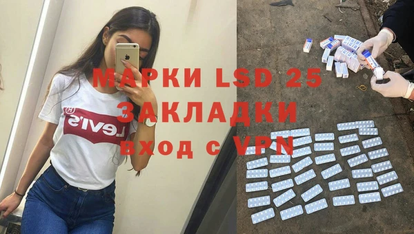 сатива Беломорск
