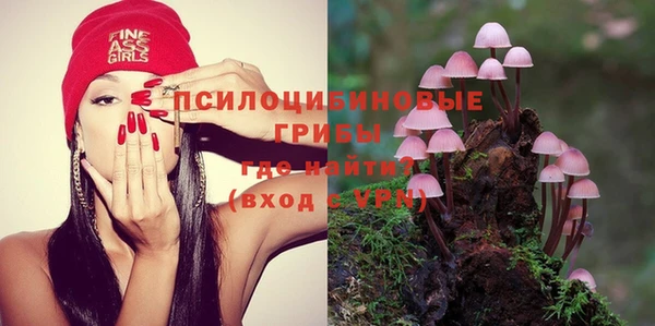 марихуана Белокуриха