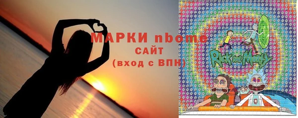 сатива Беломорск